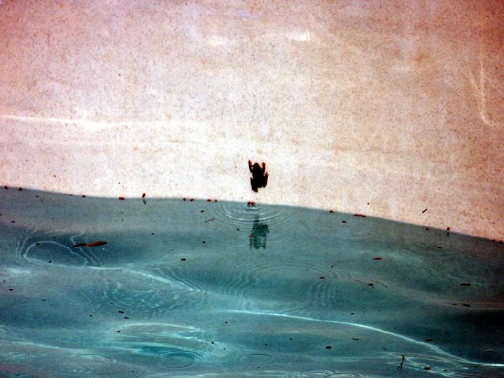 2003-05 003.jpg - DCF 1.0